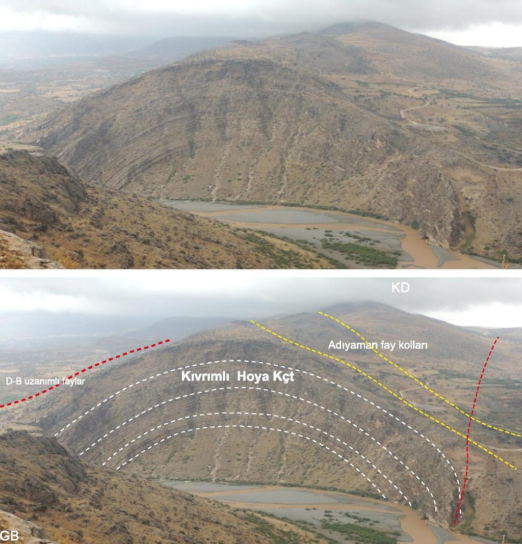 Şekil 21a Cendere Antiklinali Adıyaman fay zonunun kolları ve D-B istikametindeki gelişen fayların kesişim yeri Not: Cendere Antiklinali D-B istikametinde ovayı kuzeyden