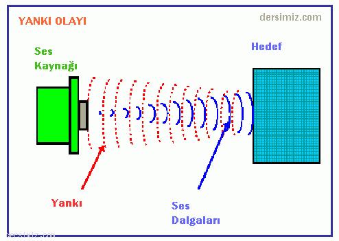 Yankı