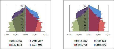 Demografik Fırsat