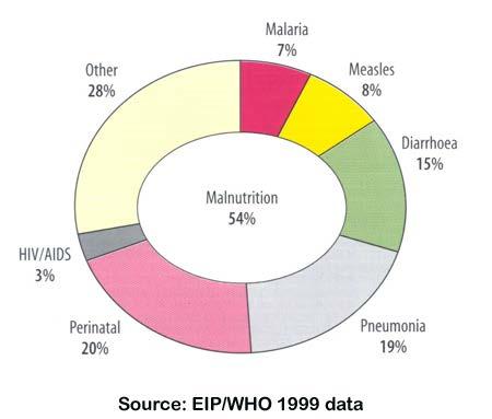 Malnütrisyon - Mortalite Taralı alanlar