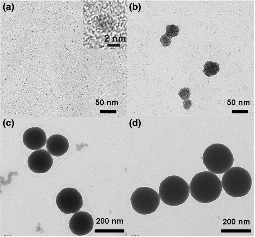 Bir diğer çalışmada Firouzabadi ve arkadaşları (2011) jelatini kullanarak Pd(II) iyonlarını Pd(0) a indirgeyerek doğal yoldan Pd nanoparçacıkları elde etmiştir.