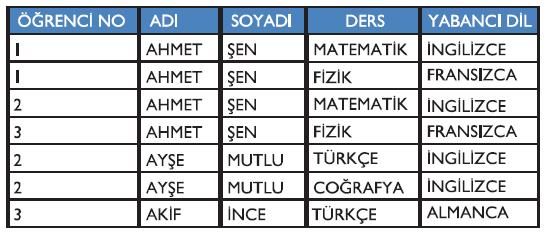 Eğer boş kayıtlar yerine ders kaydının bulunduğu satıra yabancı dil bilgisi girilir ise bu sefer de tabloda