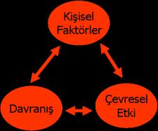 İnsanların doğal çevre içinde değişik durumlarda nasıl öğrendiklerini araştırmışlardır. 1. Davranış öğrenilir. 2. Pekiştireç davranışı kuvvetlendirir ve öğrenmede önemli rol oynar. 3.