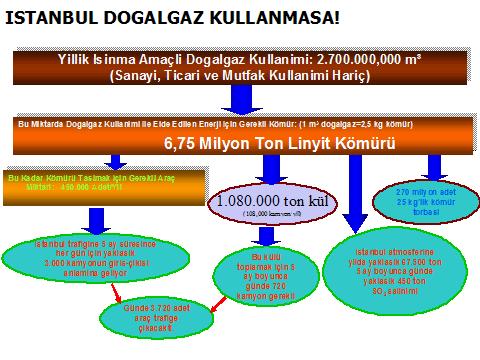 DOĞALGAZIN YAYGINLAŞTIRILMASI Doğalgaza