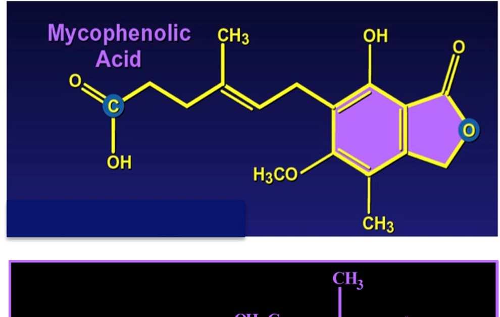 MMF C23H31NO7 MPA nın 2- morpholinoethyl ester MPA-Na