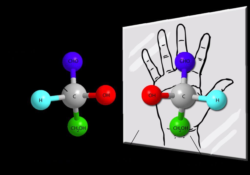 1.1.2 Monosakkaritlerde Stereoizomerlik Organik kimyanın en önemli atomlarından biri karbon atomudur.