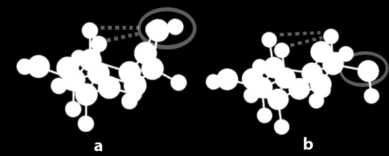 α-piranoz anomerindeki anomerik hidroksil grubunun aksiyal konumda durması, 3 ve 5 numaralı karbon atomlarının hidrojenleri ile 1-3 etkileşimi yapabileceği görülmektedir (Şekil 4.2a).