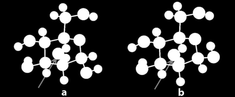 Şekil 4.4: a) α-mannopiranoz, b) β- mannopiranoz.