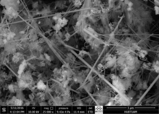 Bu numunede mikro yapı çoğunlukla kristalize olmuş, 20-100 nm çapında ve uzunlukları 2-10 µm arasında değişen nano fiber, geri kalanı ise küresele yakın nano-parçacıklar ve çok az amorf camsı fazdan