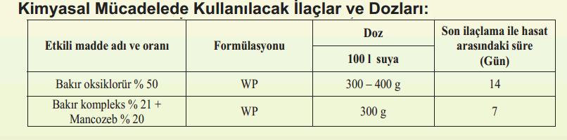 Fidelikte ve serada hastalık görülür görülmez koruyucu olarak yeşil aksam ilaçlaması yapılmalıdır.