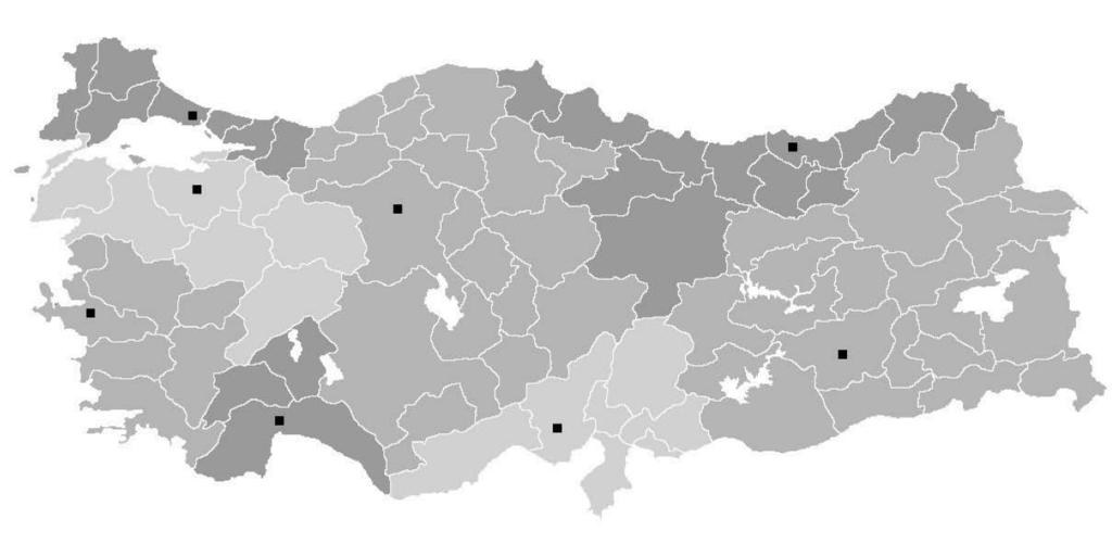 Bizim problemimizde eşleme modelinin amacı illerin arasındaki ulaşım zamanının en aza indirilmesi olarak alınmıştır ve herbir ilin başka bir ille eşlenmesi sağlanmıştır.