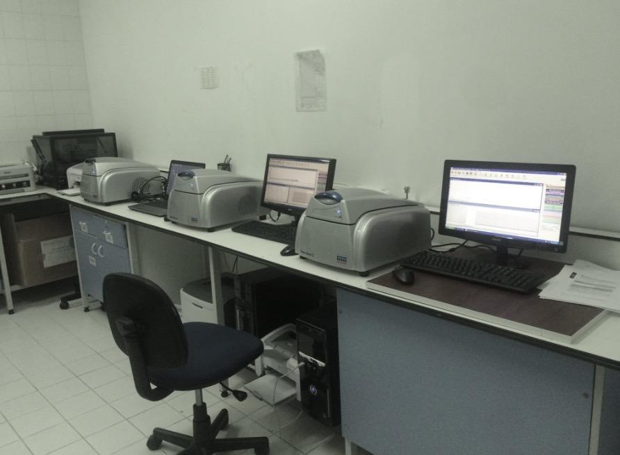 tespiti Real-time PCR