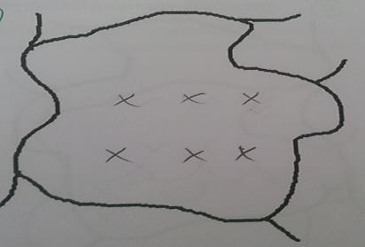 Mayoz ve mitoz bölünmenin anafaz evrelerine ait çizimler Şekil 2 incelendiğinde öğretmen adaylarının sentrioller ve görevleri hakkında