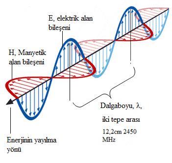 Şekil 1.4. Elektromanyetik dalga gösterimi Mikrodalga ışını ile ilgili genel olarak; Herhangi bir ikinci etki ve radyoaktivite tesiri göstermezler. Akım kesildiği zaman etkisi ortadan kalkar.