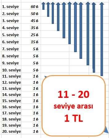 Cirosundan (80 TL) kazanç dağılımı Bölge Yöneticisi olarak bölge cirosundan kazanç Sağ kol, sol kol dengesi yok.