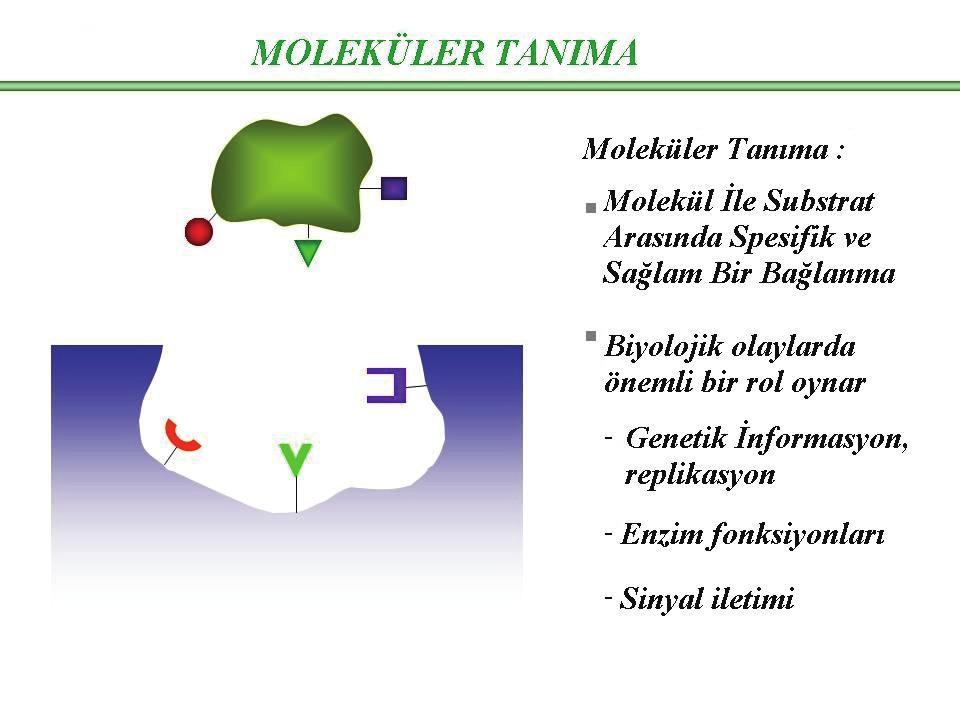 MOLEKÜLER BİYOFİZİĞE GİRİŞ 203 İki molekül arasında nonkovalent birleşmede ilşki sayısı önemli olduğundan birleşmeye aday iki moleküle elektrostatik açıdan biribirine uygun bölgeler içermelidir