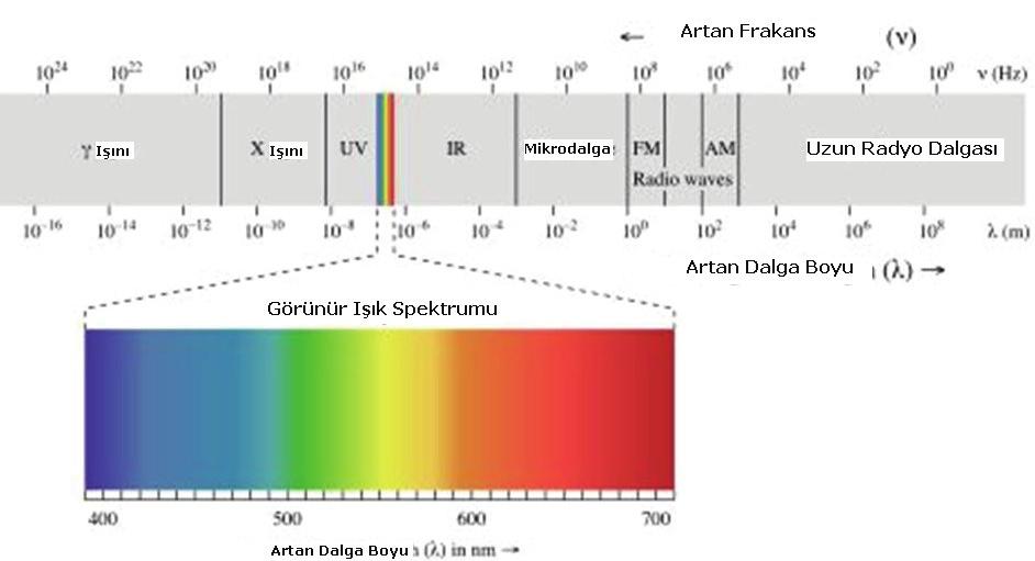 MOLEKÜLER BİYOFİZİĞE GİRİŞ 249 250 9.