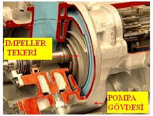 1.2.2.1. Alçak Basınç Yakıt Pompası (Low Pressure Fuel Pump) Yakıt depolarındaki booster pompalarından gelen yakıtın basıncını artırır. Genellikle impeller (kanatçıklı) tip pompa kullanılır.