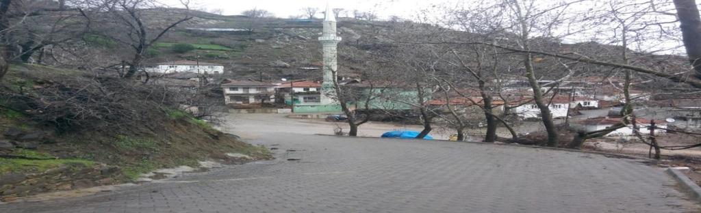 parke 5 metre tül bordür,camii üstü 116-130 kapı no arasına 845 m2