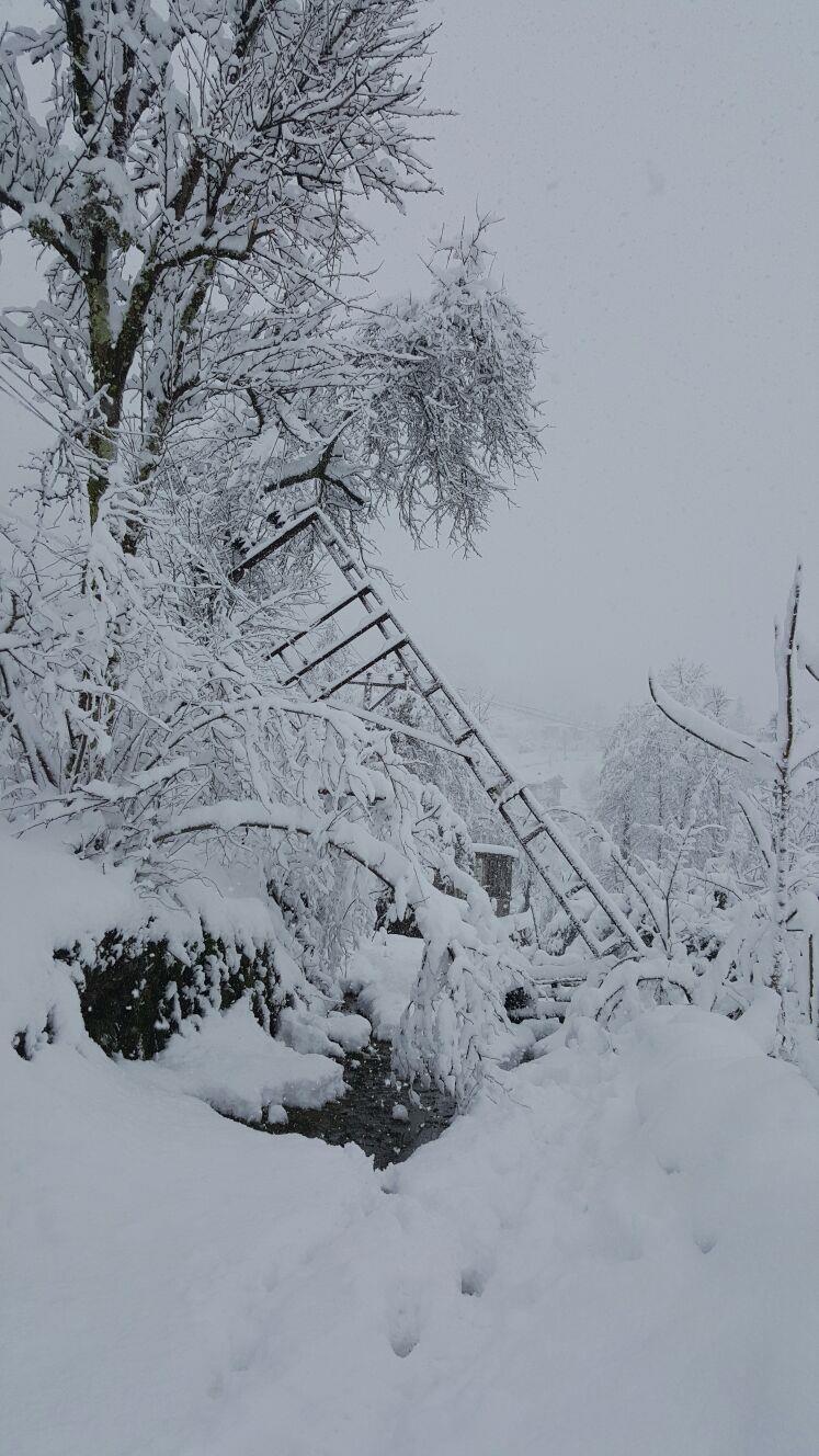 DOĞAL AFETLER İLE MÜCADELEMİZ 30.12.2015