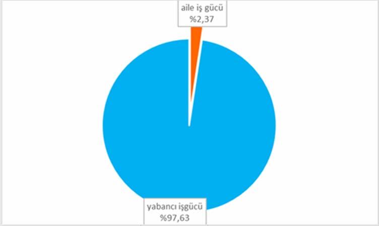 25 Grafik 4.1.İşletmelerde işgücü miktarının oransal dağılımı İncelenen işletmelerde işgücü potansiyeli Çizelge 4.5 de verilmiştir.