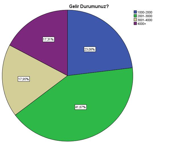 Gelir Durumuna