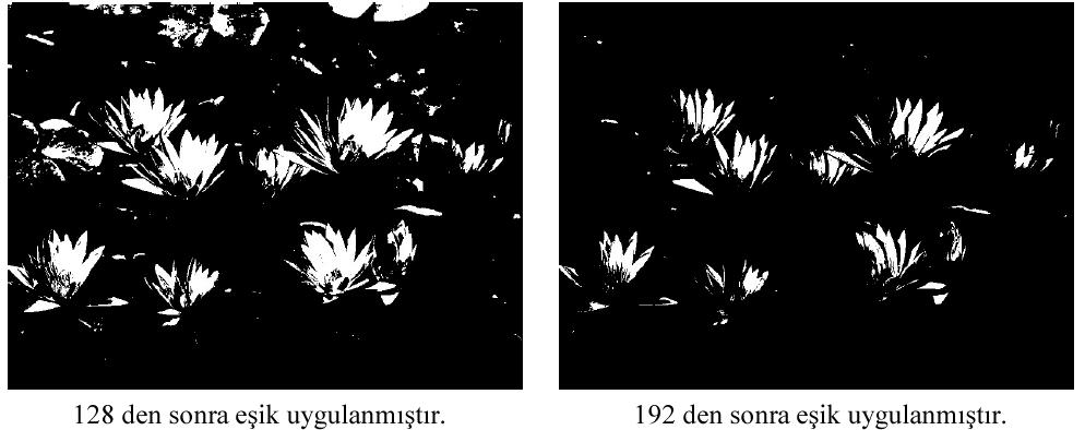 Görüntü histogramı, gri-ton resmin üzerindeki piksel bilgilerini gösteren bir çubuk grafiktir. Grafiğin yatay x- ekseni 0-255 arasındaki gri ton değerlerini gösterir.