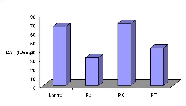 42 Şekil 3.2 ve 3.3 de antiperoksidatif enzim sınıfında yer alan katalaz ve glutatyon peroksidaz aktiviteleri verilmiştir. Şekil 3.2 Pb stresi ile flavonoid yüklemesinin CAT aktivitesine etkisi.