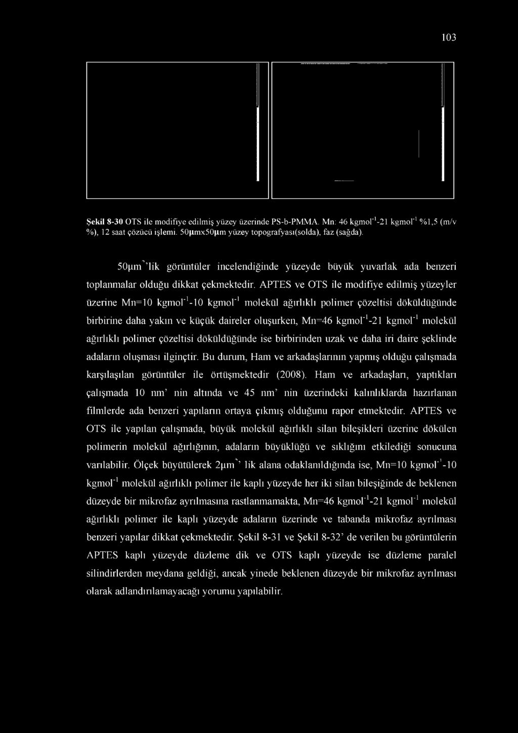 Bu durum, Ham ve arkadaşlarının yapmış olduğu çalışmada karşılaşılan görüntüler ile örtüşmektedir (2008).