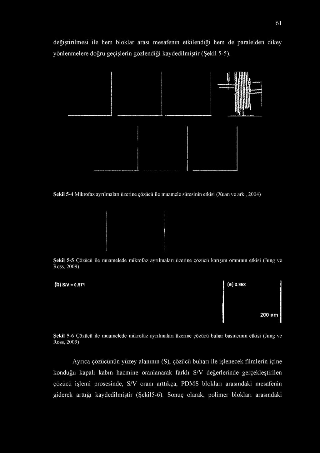 çözücünün yüzey alanının (S), çözücü buharı ile işlenecek filmlerin içine konduğu kapalı kabın hacmine oranlanarak farklı S/V değerlerinde