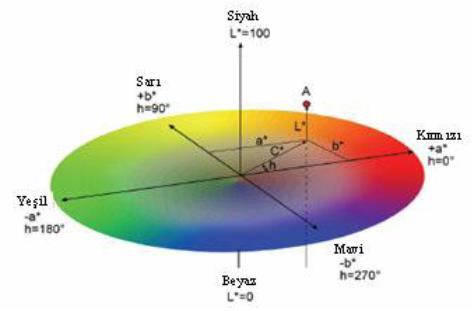 T. GÜRLEYEN et al./ ISITES2017 Baku - Azerbaijan 1330 2.4. Testler 2.4.1. Renk Parametrelerinin Belirlenmesi İklimlendirme işlemi tamamlanan tek ile çift kat UV sistem parke verniği uygulanmış ve uygulanmamış üvez (Sorbus L.