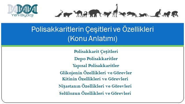 Pol 룾 sakkar 룾 tler (Çok Şekerler, Kompleks Şekerler) Yen 룾 B 룾 yoloj 룾 N 룾 san 27, 2017 >> MUTLAKA OKUYUN: B 韽 yoloj 韽 Nasıl Çalışılır? Pol 韽 sakkar 韽 tler ned 韽 r?