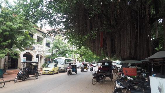 19:15 teki Siem Reap - Hanoi uçuşumuz ile 20.