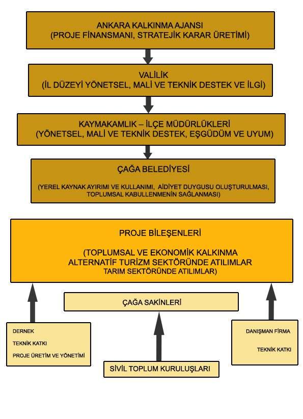 Şekil 3 : Yönetim Yapısı