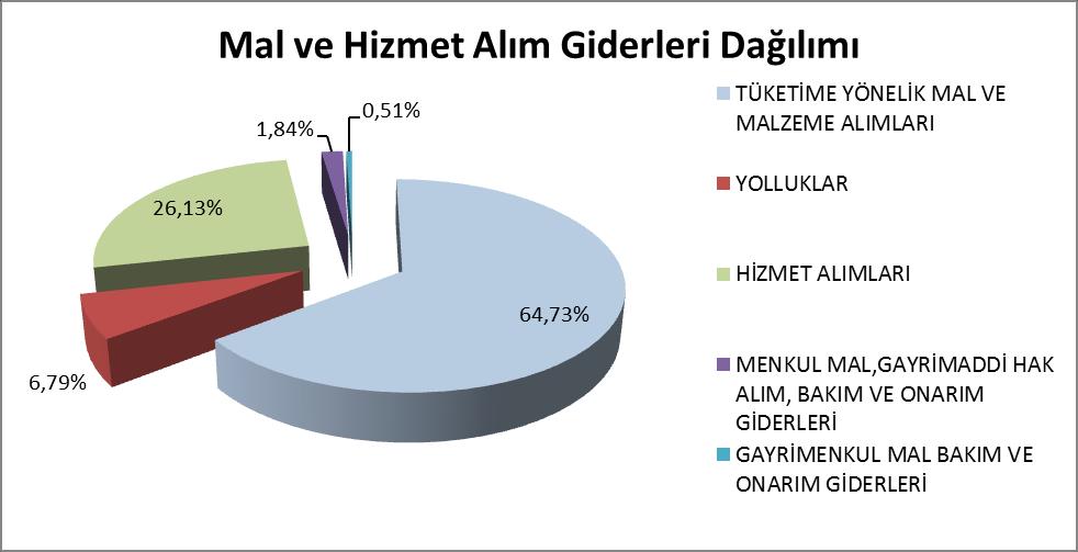 Bu kalemdeki artış Üniversitemizi spor müsabakalarında temsil eden sporcuların yolluk ve yevmiye ödemelerinin