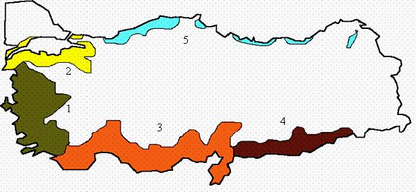 2.1.2 Türkiye deki Durumu Zeytin yetiştiriciliğinde ve zeytinyağı üretiminde Akdeniz iklimi özelliği gösteren Đtalya, Đspanya, Yunanistan ve Tunus gibi ülkelerle birlikte Türkiye nin bu üretimin