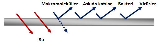 8 Ultrafiltrasyon membran ayırma prosesi [73]. Bir başka membran çeşidi olan NF membranları RO membranları kadar iyi su kalitesi vermemekte ancak RO dan daha düşük basınç ihtiyacı duymaktadır.