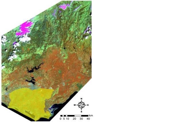 O. YELER, O. ŞATIR, S. BERBEROĞLU üretim değerinin yaklaşık %10 u bu bölgeden elde edilmektedir (Alemdar ve ark. 2014).