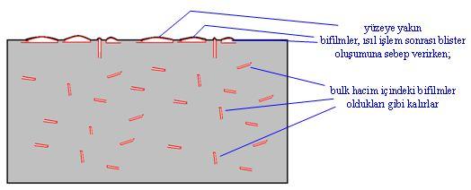 2 : Yüzeye yakın durumdaki bifilmlerin ısıl işlem sonrası blister oluşturması (şematik) Tüm bu nedenlerden dolayı, çalışmada yüzeyde görülen blisterlerin morfolojisi, boyutları ve bifilmlerin