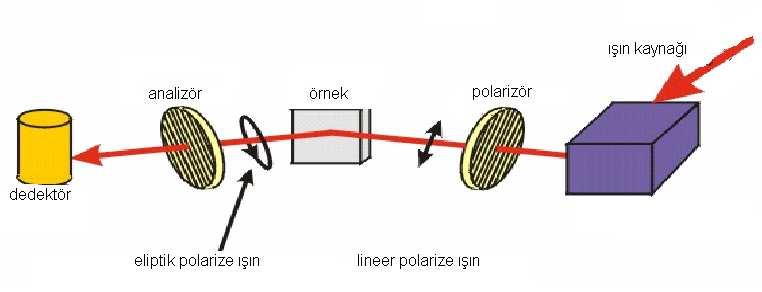 Şekil 2.10 Elipsometre cihazının temel bileşenlerinin şematik gösterimi Elipsometride üç tip ışın demeti vardır.