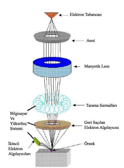 elektromanyetik mercekle toplanan, objektif mercekle de odaklanan elektron demeti, elektromanyetik saptırıcı bobinlerle örnek yüzeyinde tarama işlemini gerçekleştirmektedir. Şekil 3.