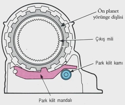 dişlilerinin güneş dişlileri tarafından saat yönünde dönmeye çalışmasına neden olur. Bununla birlikte arka planet taşıyıcısının dönüşü 1.