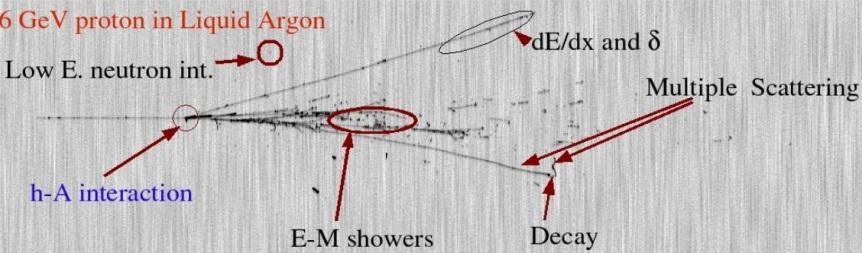 Elektromanyetik ve müon etkileşimleri (1 kev 10 PeV) 0 Nötron etkileşimleri (termal