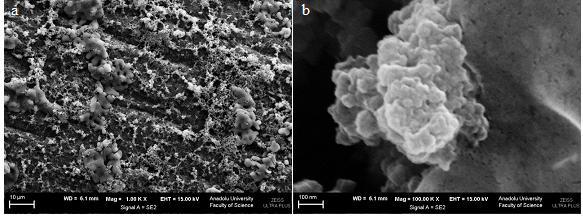 98 Şekil 5.30. Poli(3-metiltiyofen)/Politiyofen kaplı kalem grafit elektrodun farklı iki büyütmede alınan SEM görüntüsü.