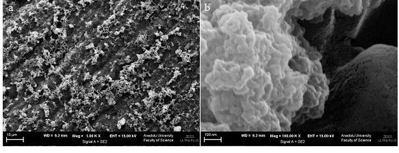 99 Şekil 5.31. Poli(3-metiltiyofen)/Poli(3,4-etilendioksitiyofen) kaplı kalem grafit elektrodun farklı iki büyütmede alınan SEM görüntüsü.
