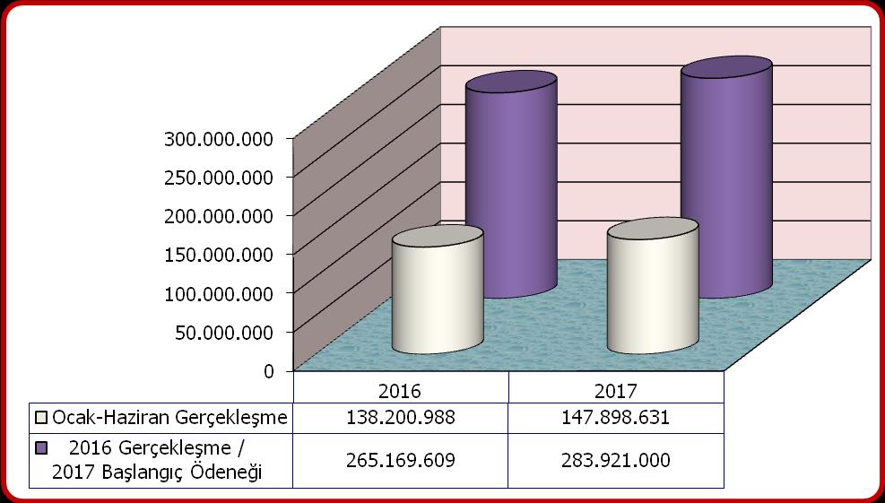 I. 2017 YILI OCAK-HAZİRAN DÖNEMİ BÜTÇE UYGULAMA