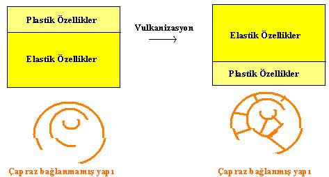 28 makromoleküller seyrek çapraz bağlarla bağlanmışlardır (vulkanize olmuş polimerik malzemelerdir). Ağ yapısına dönüştükten sonra geçici olarak şekillendirmek mümkündür.