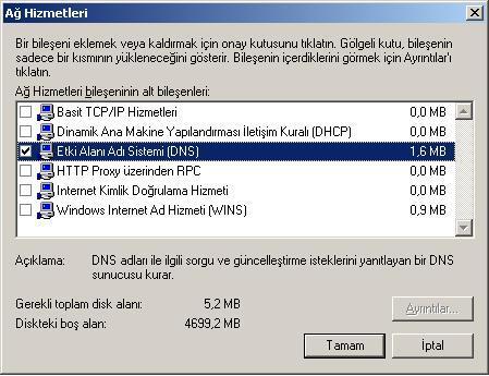 DNS'i işaretliyoruz ve