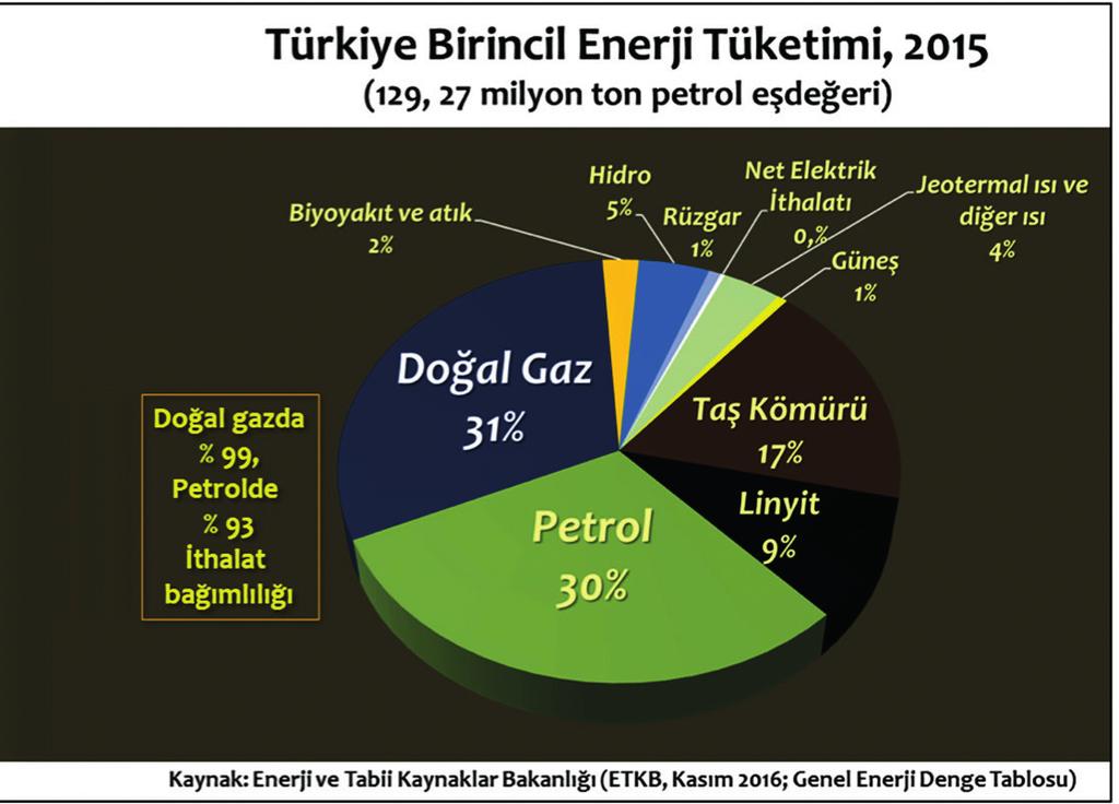 dan ilki tarihsel ve siyasi nedenler, diğeri de Türkiye nin jeolojik yapısı ve milyonlarca yıllık süreçte yaşanan tektonik hareketliliklerin yarattığı olumsuzluklardır.