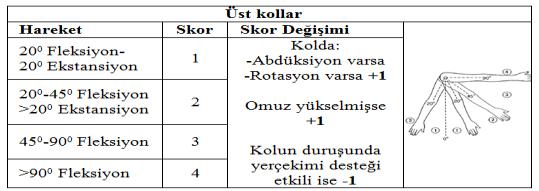 Yük/Kuvvet değerleri(load/force values) Yük/Kuvvet Skor < 5 kg 0 5-0 g > 0 kg Ani veya hızlı kuvvet artışı + İyi Uygun Kötü Uygun değil İy E b E Z V d Tablo A yardımıyla yeniden gövde, boyun ve